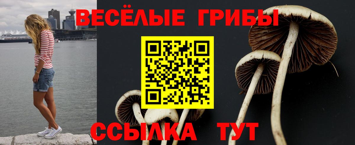 Галлюциногенные грибы Cubensis  Вход с VPN  Сыктывкар 