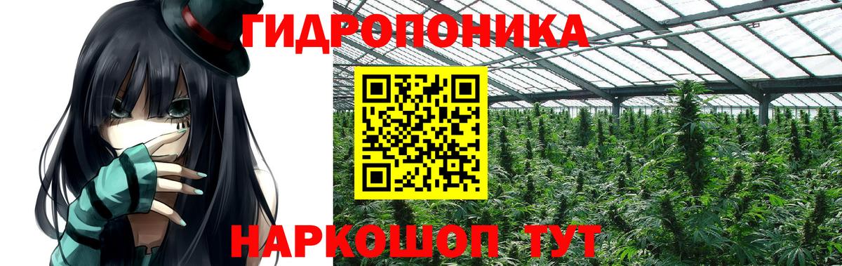 Марихуана конопля Сыктывкар